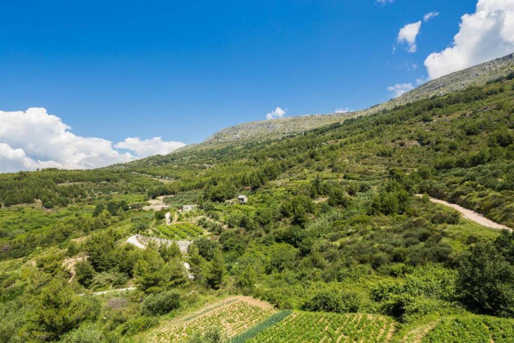 דירות פודסטראנה Carso Olea A2 מראה חיצוני תמונה